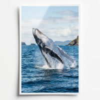 Klasik Fotoğraf Baskı 10×15 – 9 Adet